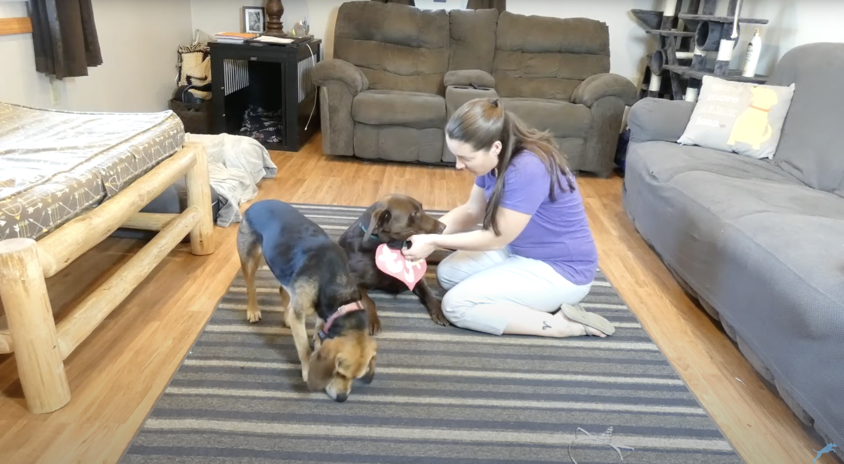DIY Dog Halloween Costume #1 - Life-sized TY Beanie Baby